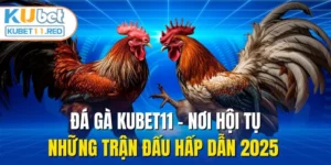 Đá Gà KUBET11 - Nơi Hội Tụ Những Trận Đấu Hấp Dẫn 2025 
