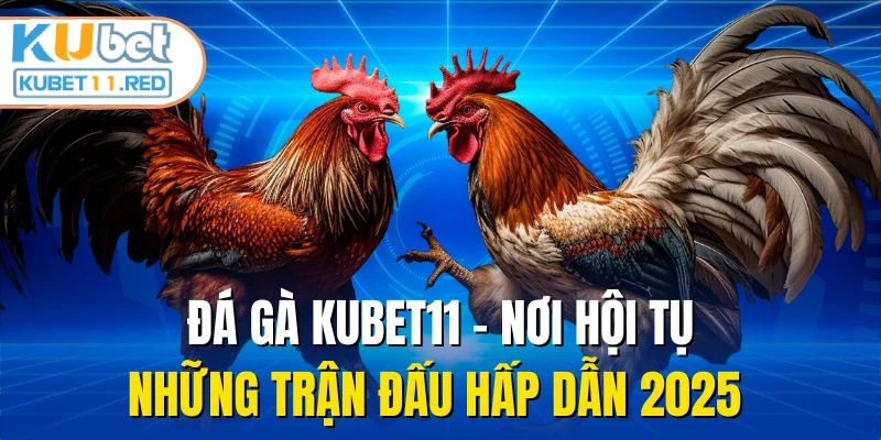 Đá Gà KUBET11 - Nơi Hội Tụ Những Trận Đấu Hấp Dẫn 2025 